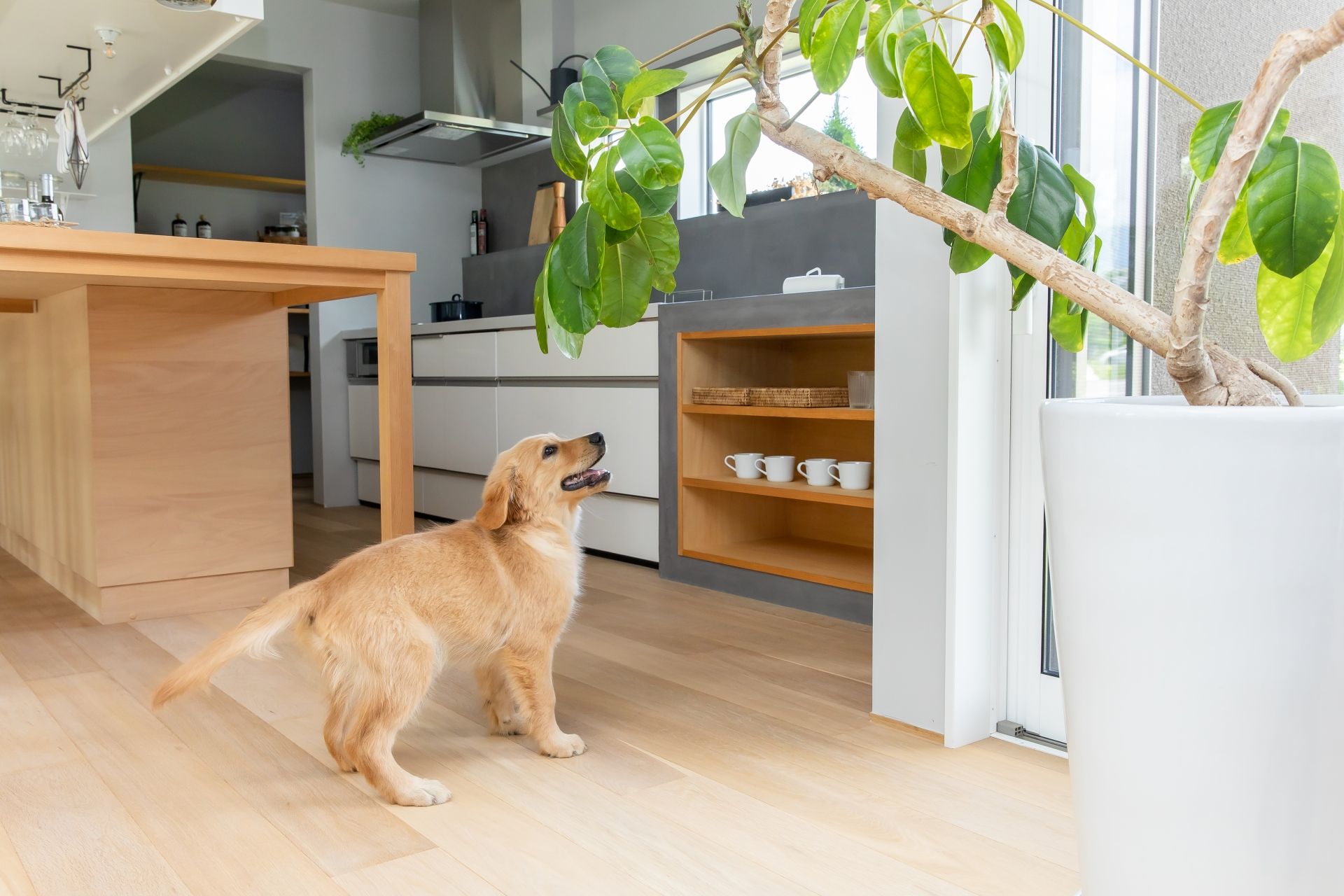 その他のサービス