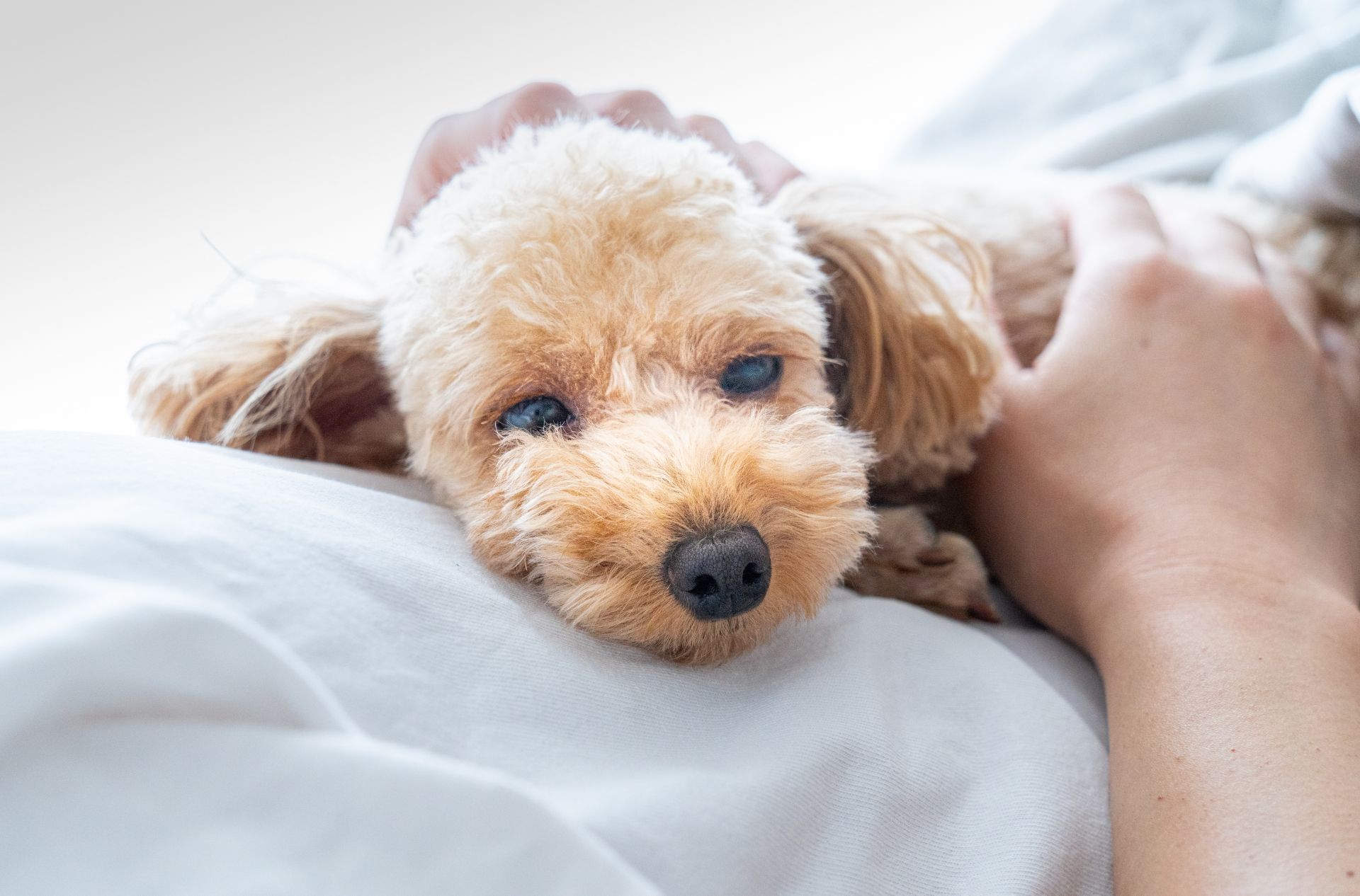 行田 行田市 東行田 武州荒木 持田